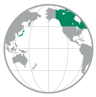 View Globe Illustration of globe with Canada and Japan highlighted