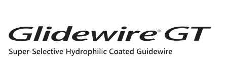 View GLIDEWIRE® GT Guidewire logo GLIDEWIRE® GT Guidewire logo