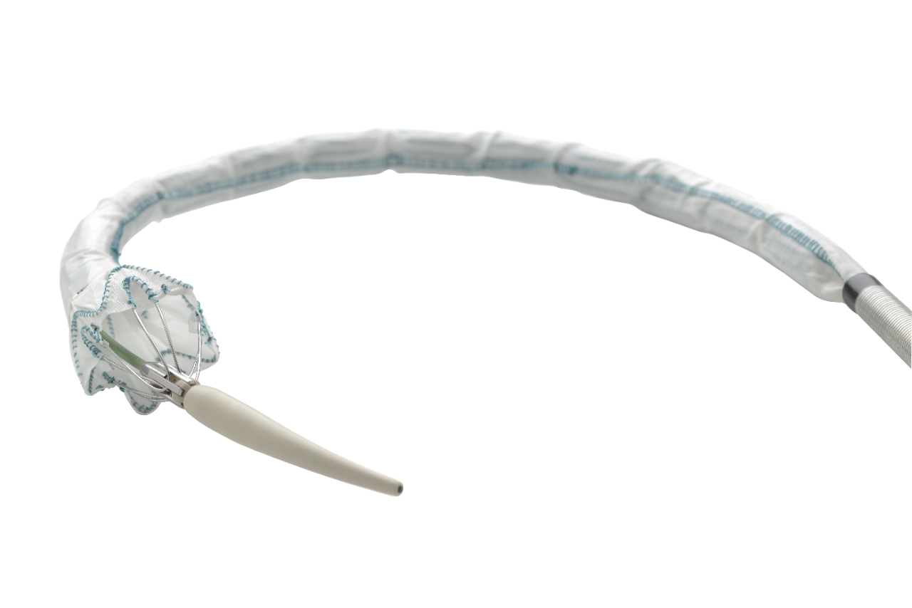 Relay ProMC – Système d’endoprothèse thoracique